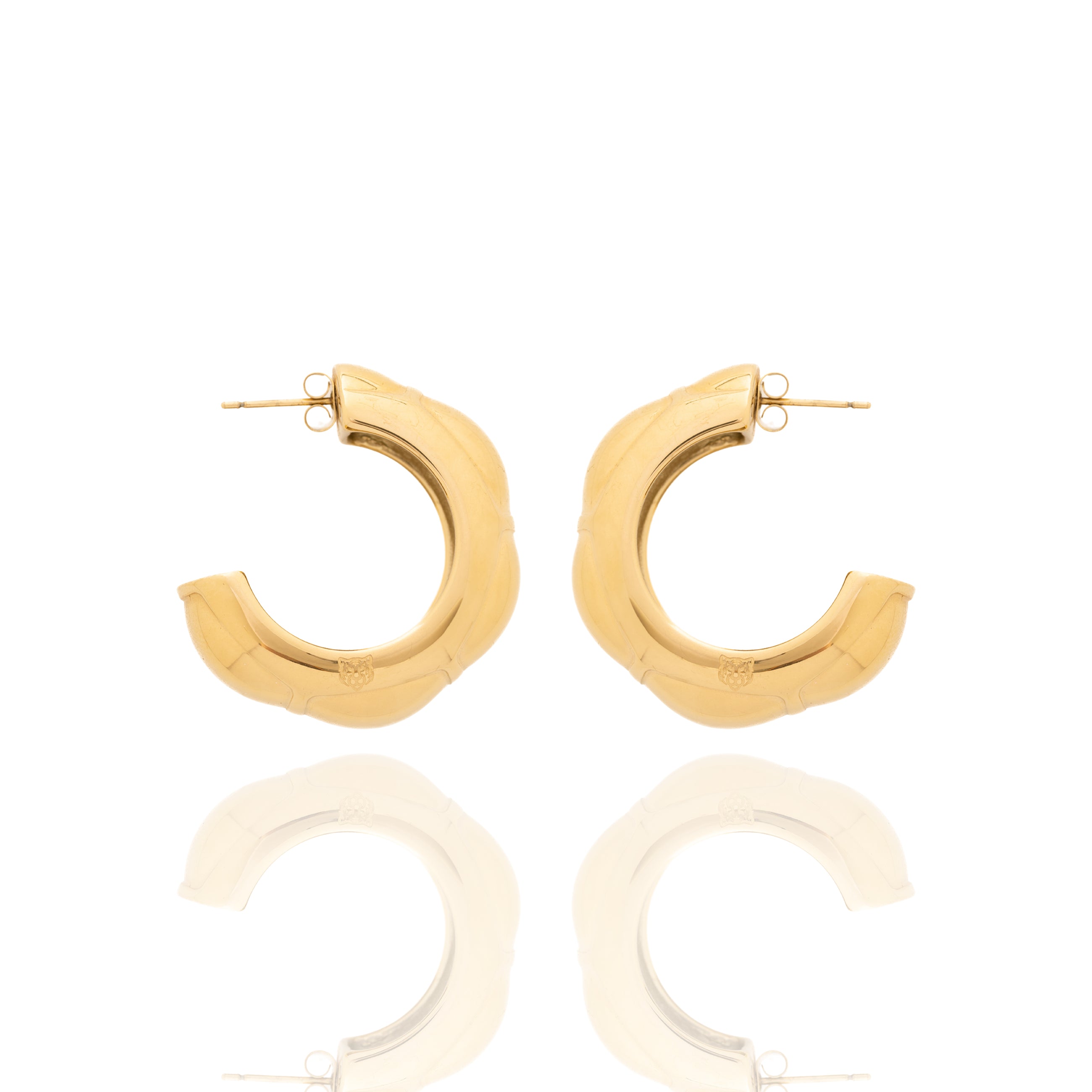 Aros Serena Audaces