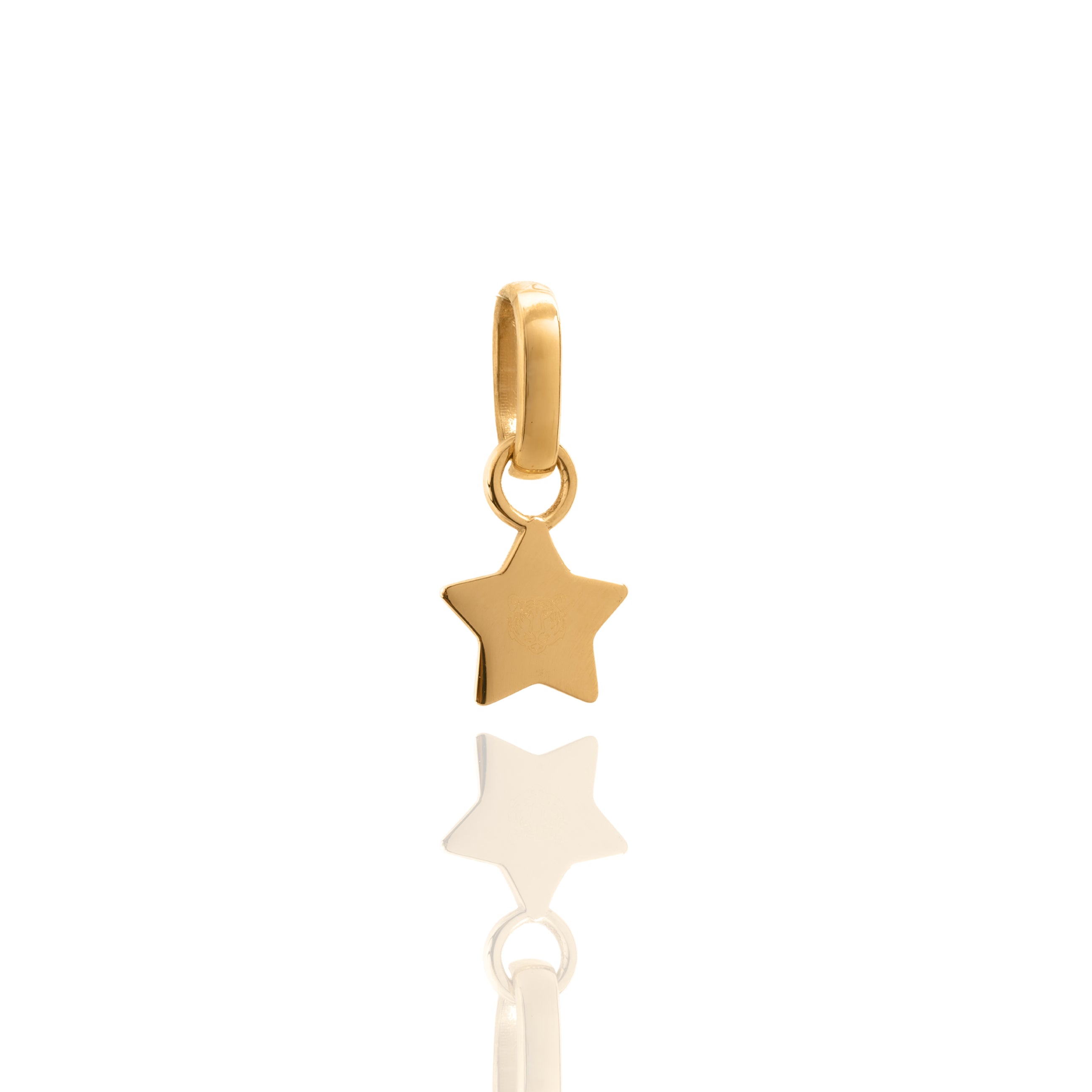 Unpredictable Star Pendant