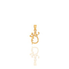 Pendant with Baroque Clasp