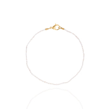 Collane | LCS