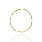 Collier Archivio - Capitolo I