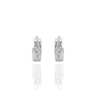 Boucles d'oreilles avec médaille Tigre
