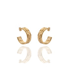 Boucles d'oreilles avec médaille Tigre