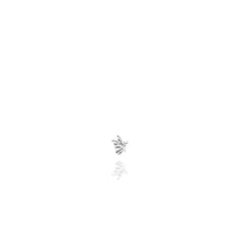 Mono Orecchino - Farfalla,petit