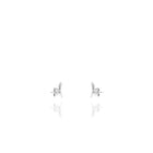 Micro Pendientes Hoja