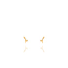 Micro Pendientes Hoja