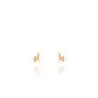 Micro Pendientes Hoja