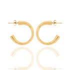 Twist Hoops