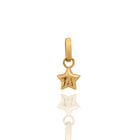 Unpredictable Star Pendant