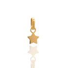 Unpredictable Star Pendant